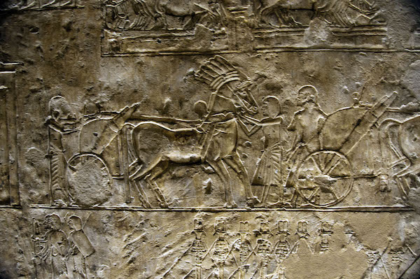Horse and Chariot. Tomb of the high priest Meryre, Tell El-Amarna.